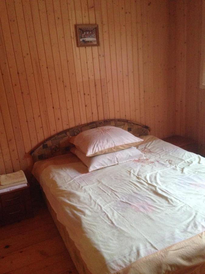Iltsi Карпатська Перлина 아파트 외부 사진
